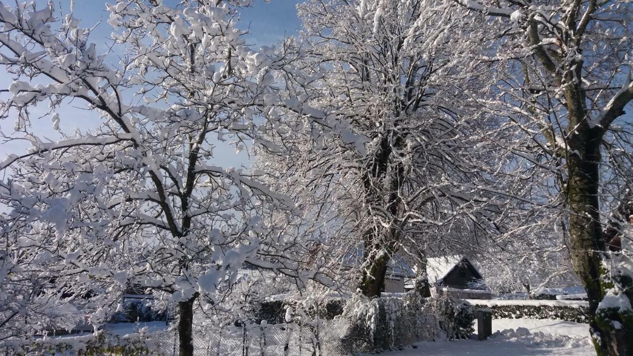 House Nenad Hotell Plitvička Jezera Exteriör bild